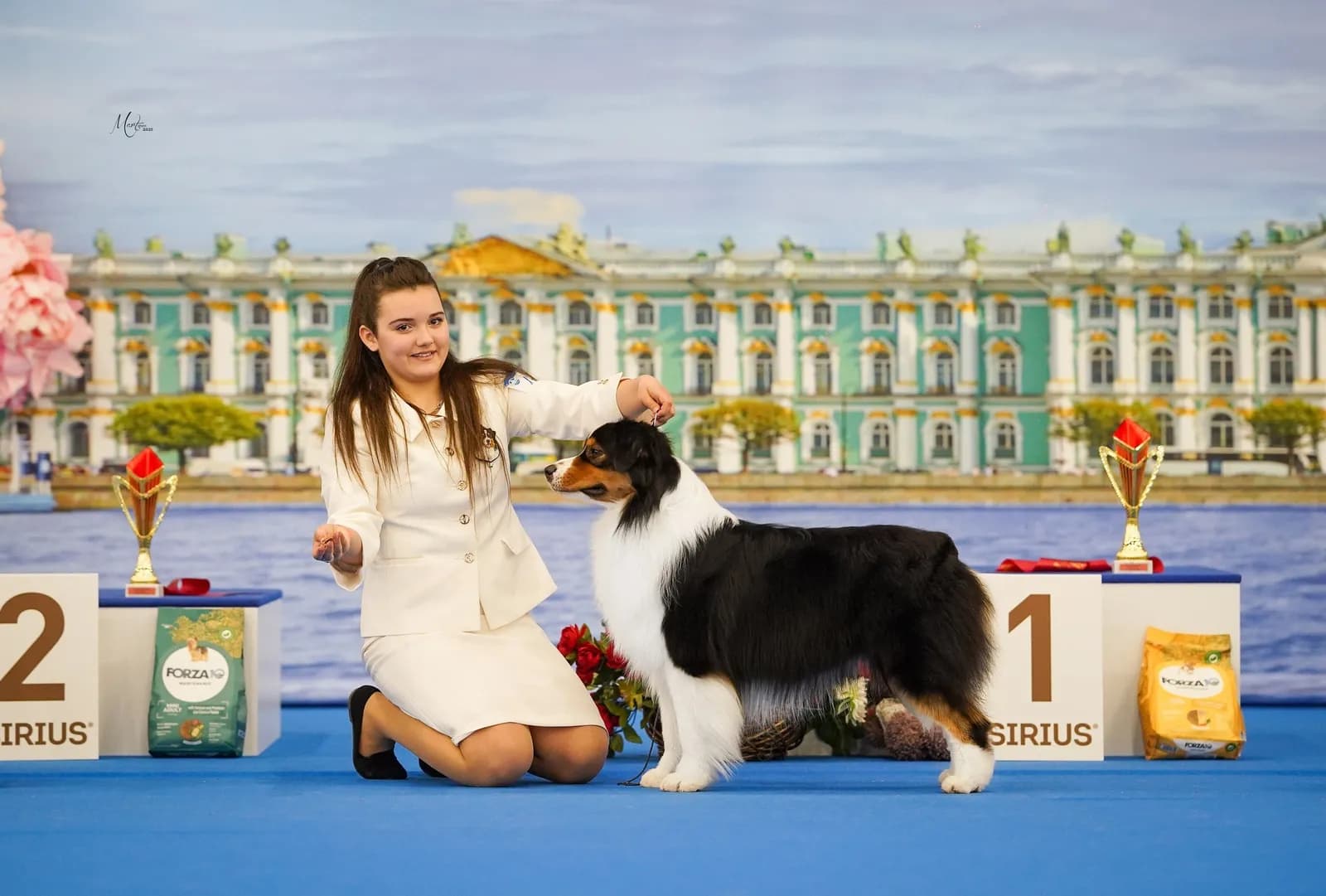 Австралийская овчарка Apollono Best in Show from Rockayland N/B, питомник Rockayland